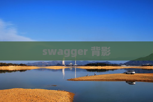 swagger 背影