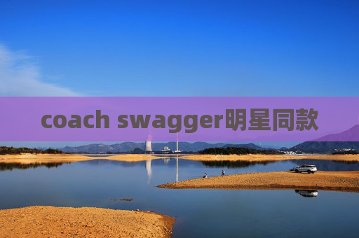 coach swagger明星同款